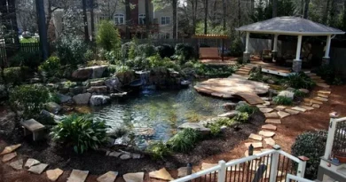 A Complete Guide to Keeping Your Surrey Pond Fresh and Healthy